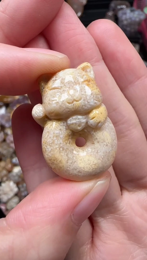 颈饰未镶嵌硅化珊瑚（珊瑚玉）270