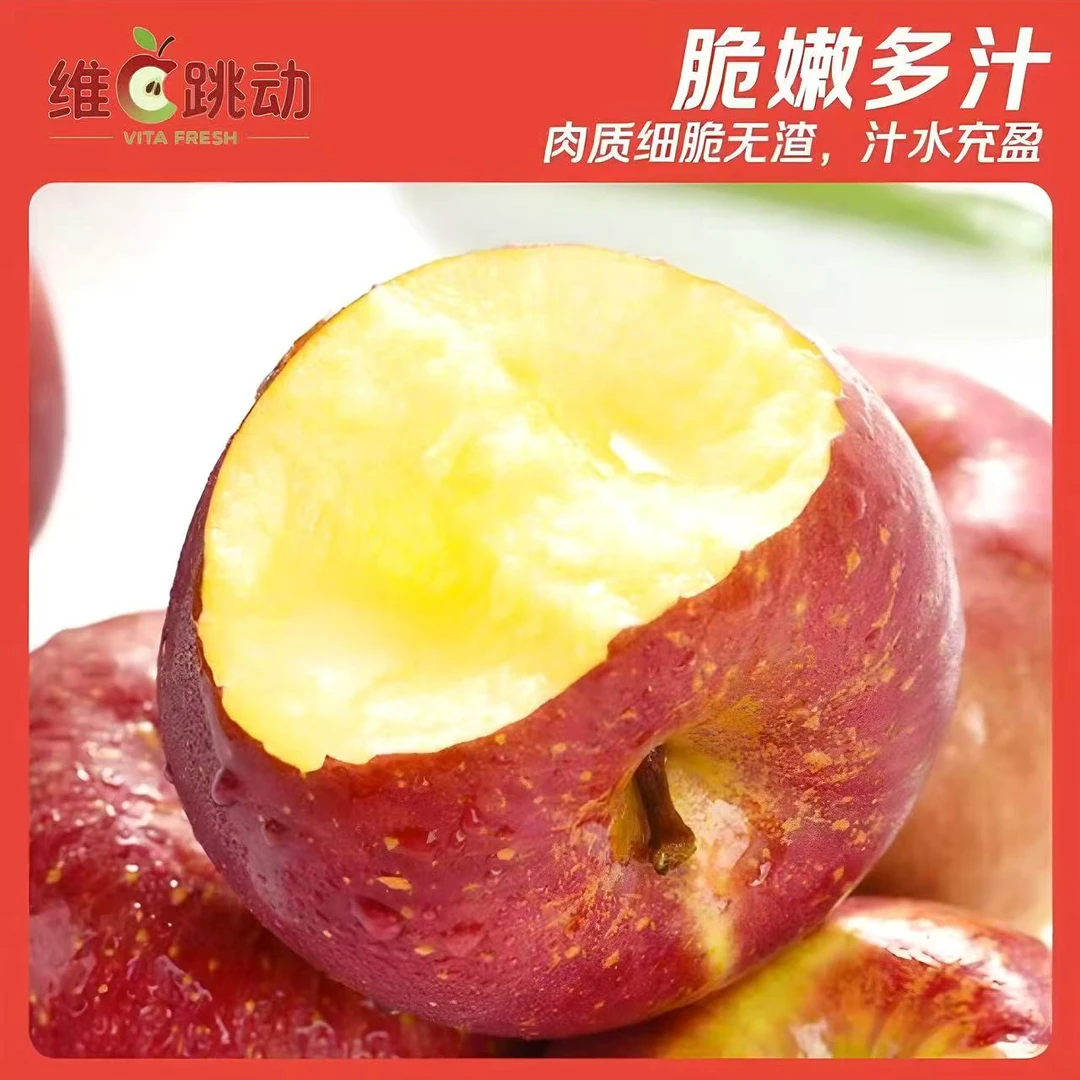 X【次日达】正宗大凉山盐源丑苹果现采现摘整箱发货新鲜水果包邮四川省