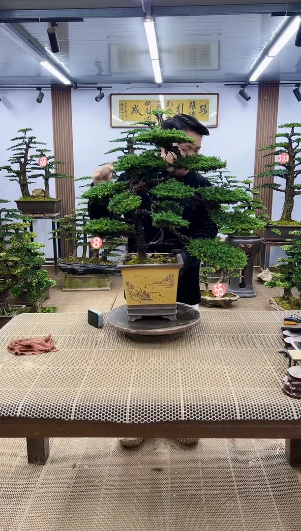 【闪购商品】00000000