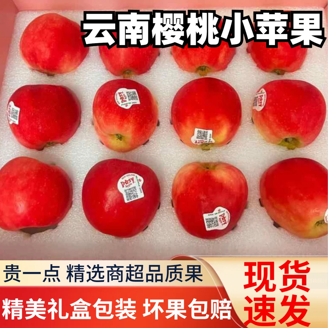 礼盒装云南昭通樱桃小苹果冰糖心现摘现发不打蜡当季春季时令水果