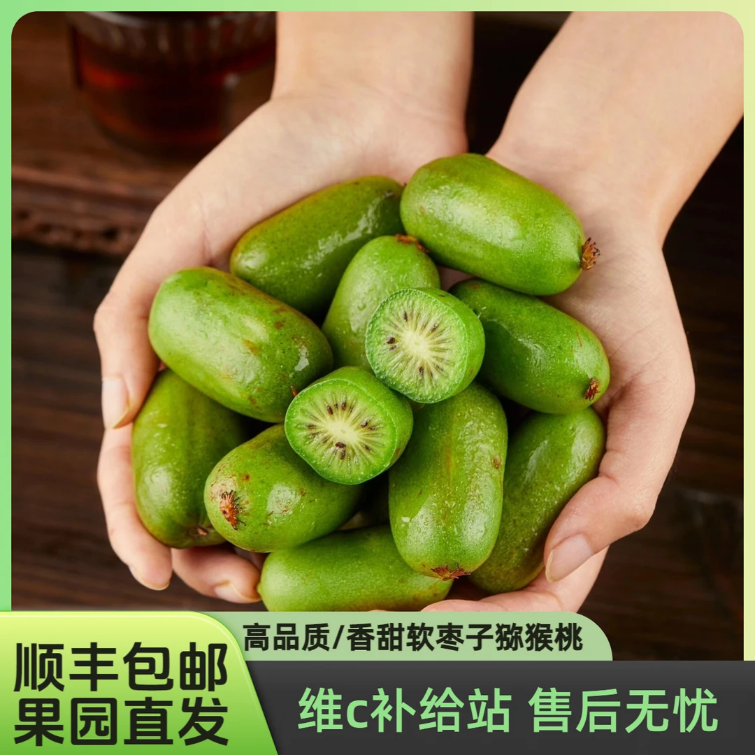 顺丰包邮【软枣猕猴桃】催熟食用 丹东直发精选果子奇异果香甜可口A
