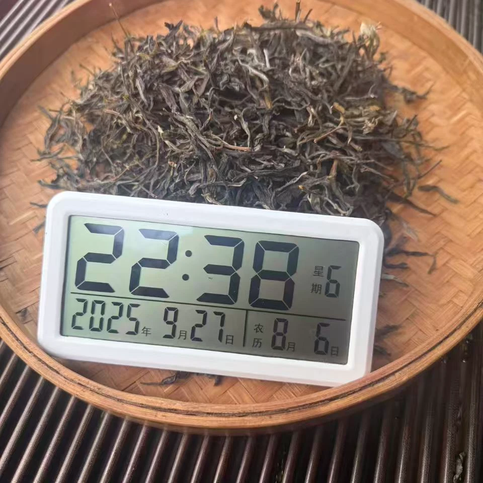 【413号】老板娘2025年五家村大树普洱茶生茶春茶250克 9月27日散料