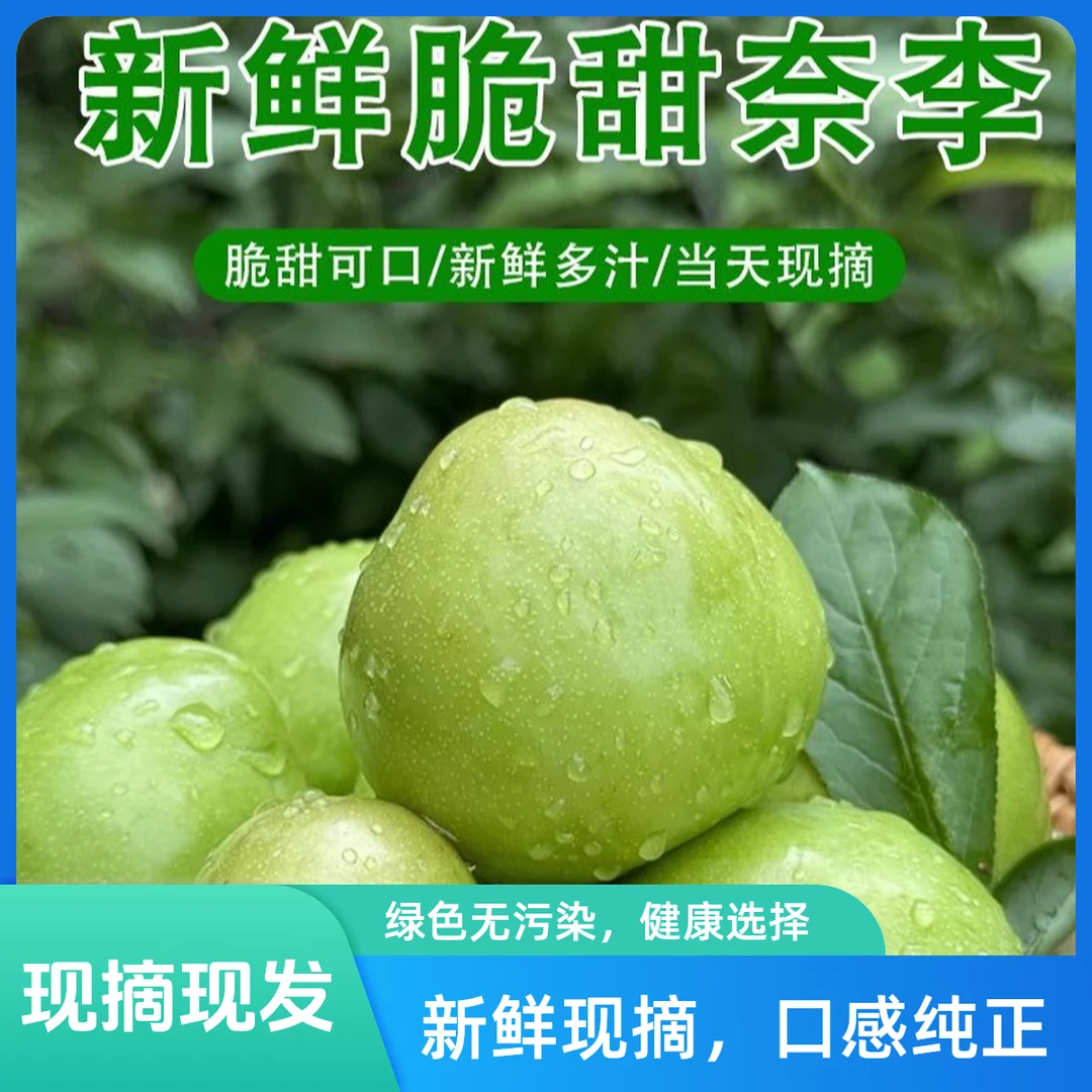 正宗脱骨冰糖奈李脆甜油奈李新鲜水果树上熟应季美味5斤