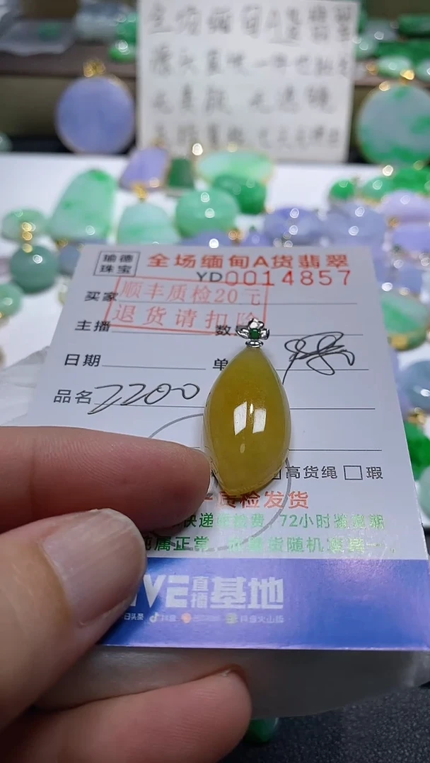 吊坠(不含链)18K金镶嵌翡翠随型