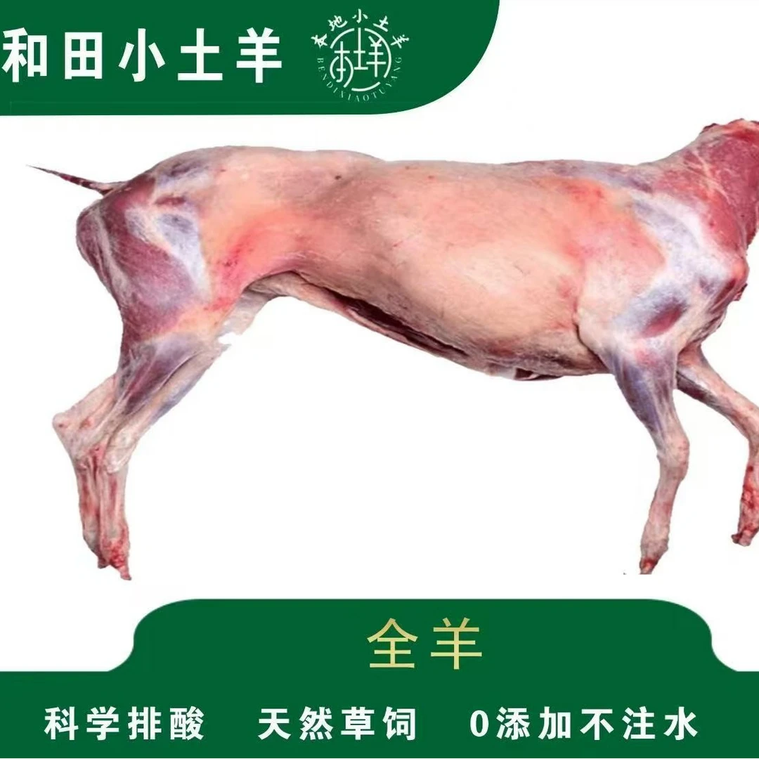 全国包邮新疆和田本地土羊羊肉半只羊14-20斤正宗散养