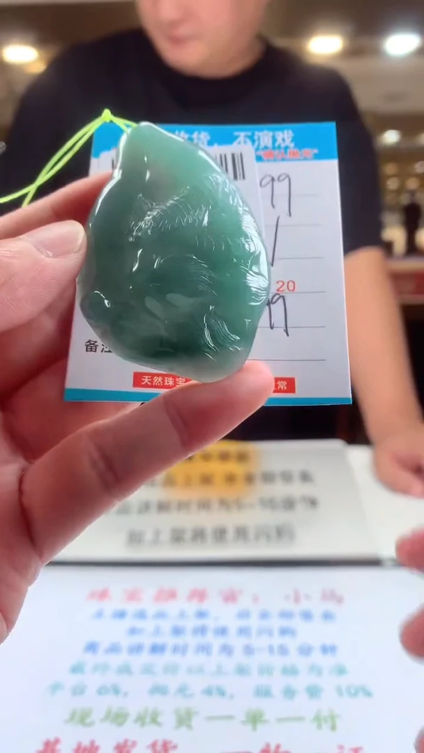 颈饰未镶嵌翡翠天然翡翠A货拍一发一