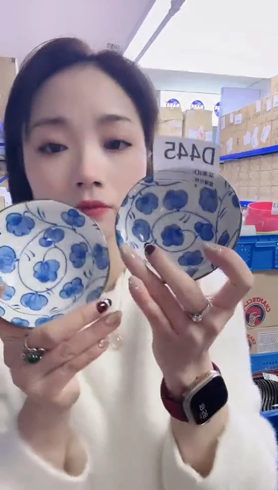 【闪购商品】瓷片 日本进口瓷器10cm小花碟两只D445