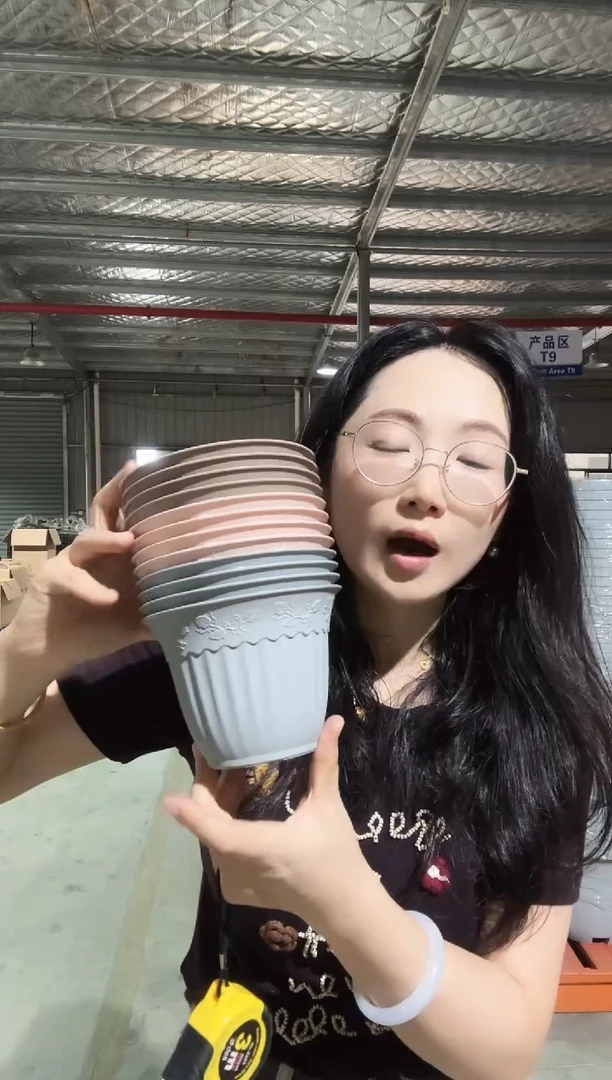 RPN5刻花3色混色12只