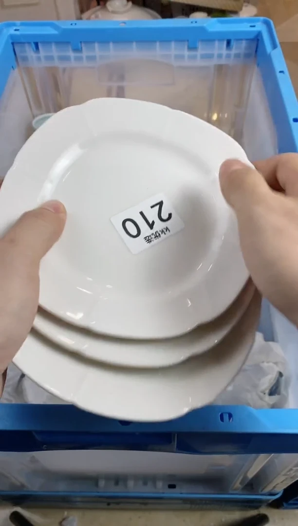 【闪购商品】瓷片210定向 珊妮定向 珊妮定向 珊妮