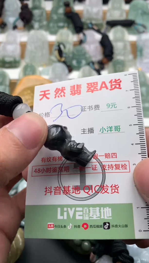 翡翠未镶嵌吊坠(不含链)1