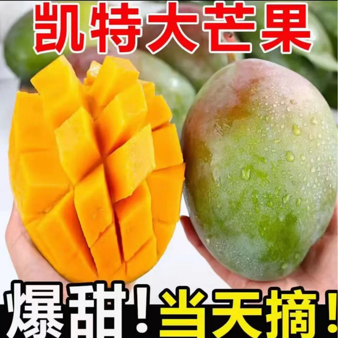 新鲜现摘凯特芒果爆甜多汁果香浓郁精品一级果