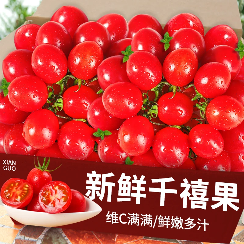 【千禧圣女果】【2斤】农家现摘新鲜小番茄酸甜孕妇水果小西红柿