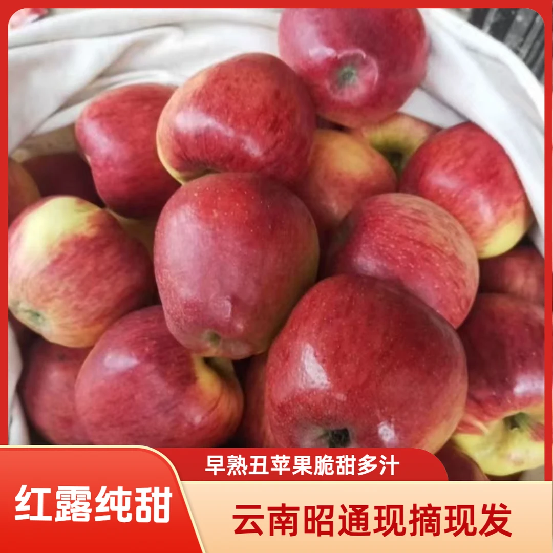 云南早熟红露丑苹果农家种植现摘现发新鲜脆甜多汁3/5/9斤包邮