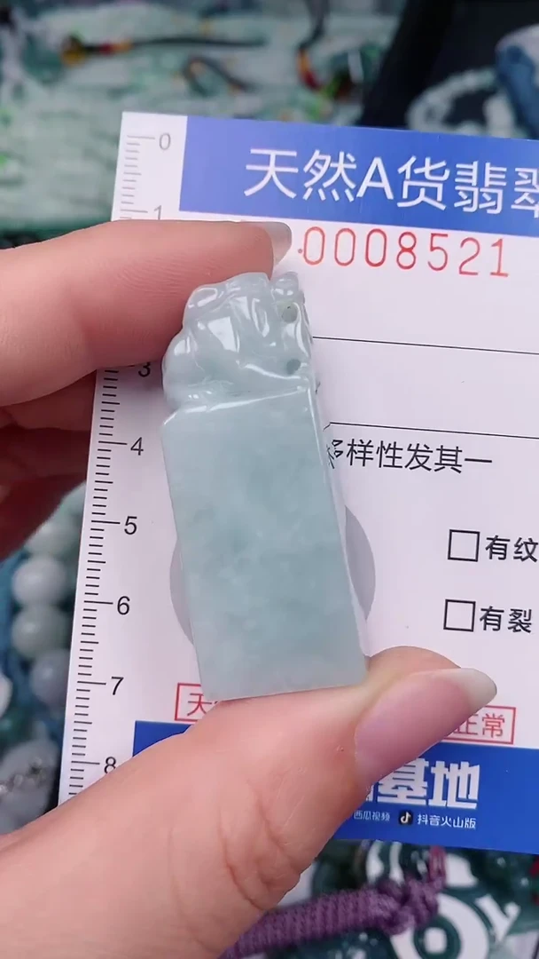 【闪购商品】翡翠颈饰未镶嵌00008521