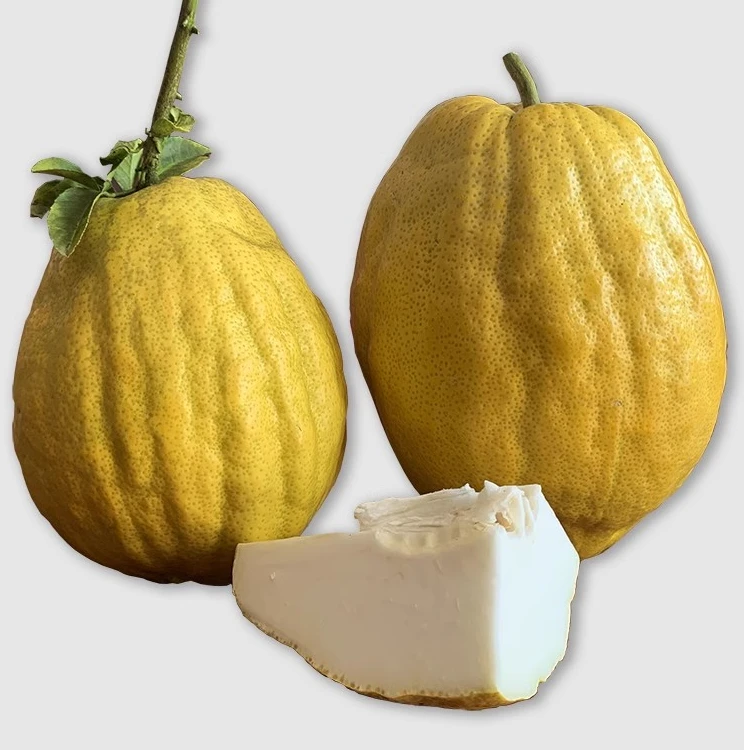 【现收】xy云南干货土特产--香橼-农家好物（30）---------------