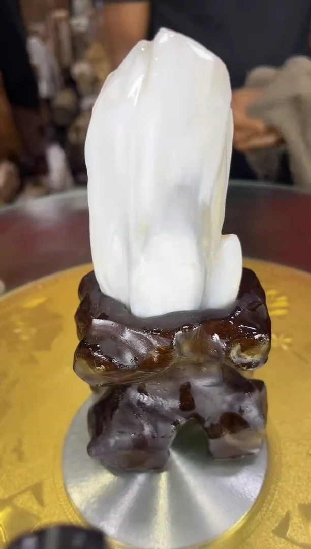 硅化玉珠宝奇石未镶嵌缅甸天然树化玉