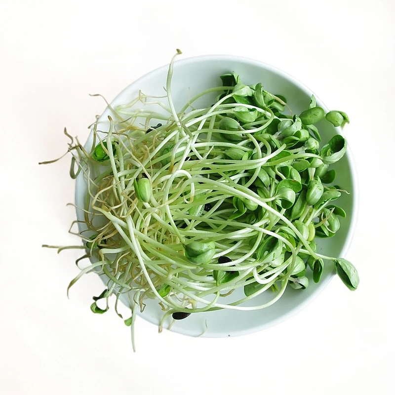 青豆芽400g/份