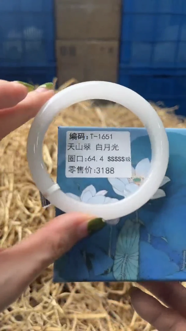 未镶嵌手镯石英质玉T1651