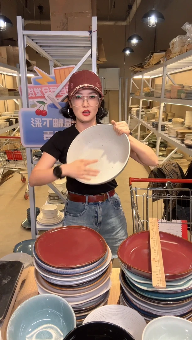 瓷204高温釉下彩陶瓷餐具