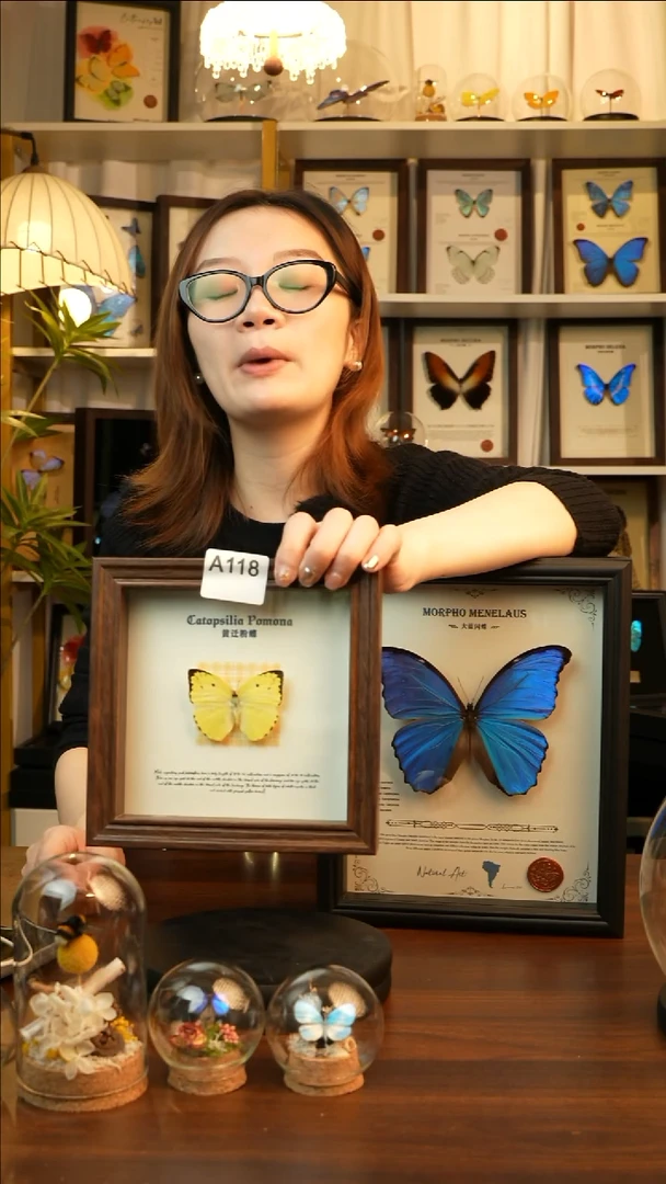 黄迁粉蝶（6寸方胡桃色新款框）A118