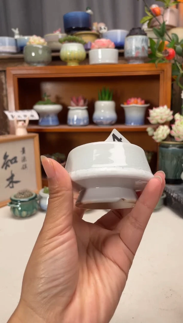 瓷片264知木小芳花盆