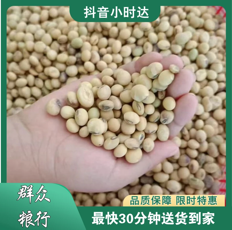 本地大黄豆500g装