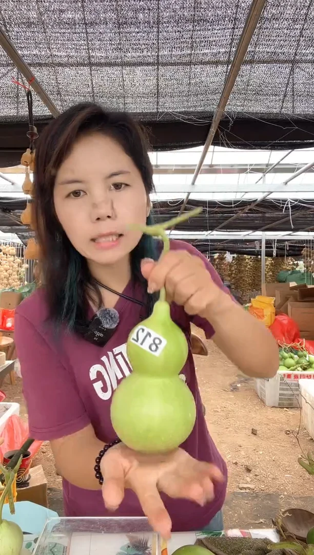 812天然葫芦摆件 一物一拍龙头不保售后