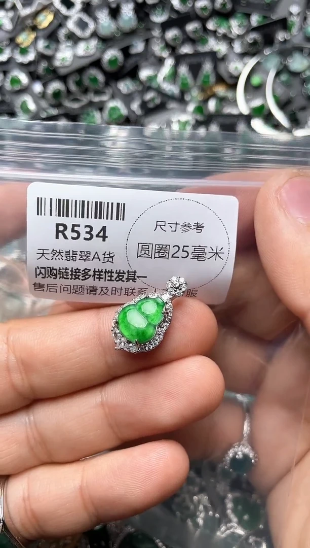 翡翠未镶嵌颈饰R534吊坠