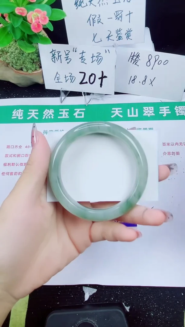 未镶嵌手镯石英质玉245-56/57