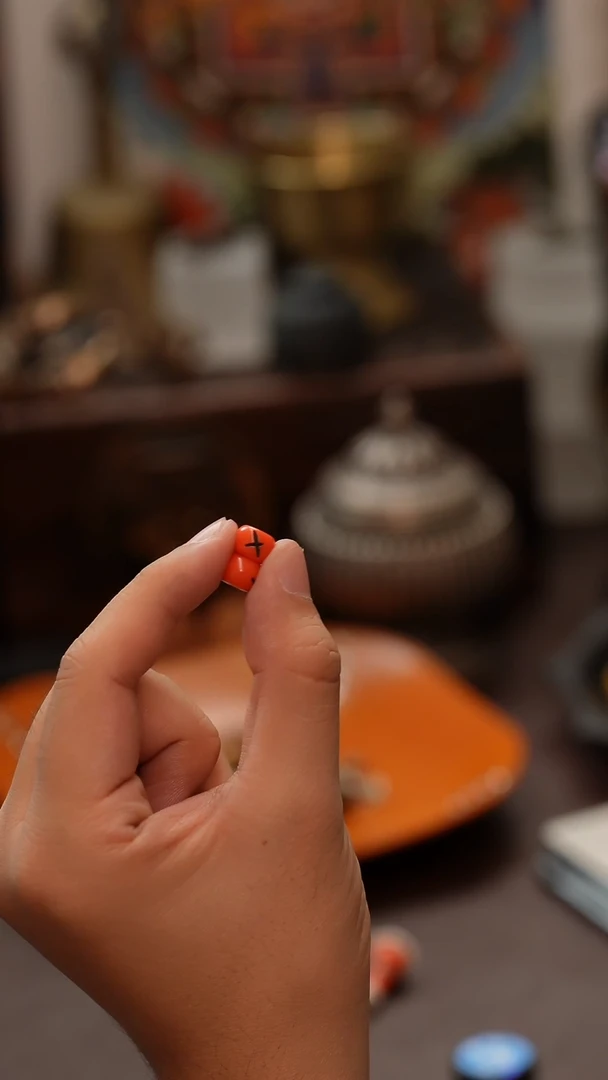 手串柏香籽/百香籽红尸陀林配珠一对