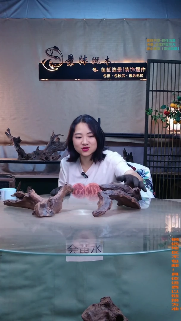摆件景沐沉木B020景沐沉木B020
