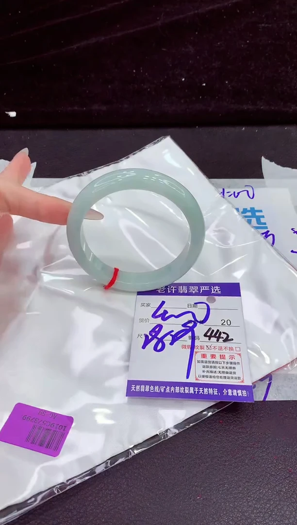 未镶嵌手镯翡翠11