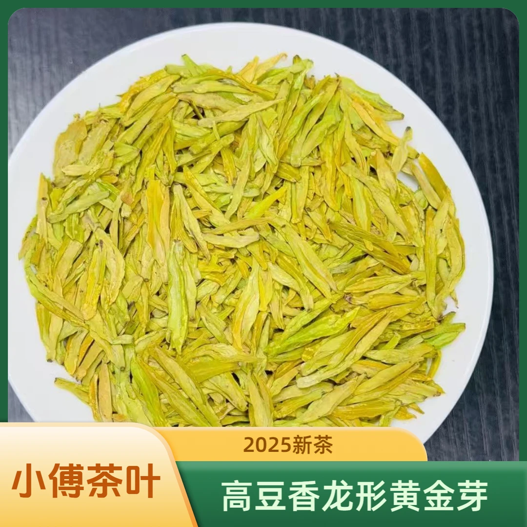 龙形黄金芽 高豆香   雨前茶 2025新茶
