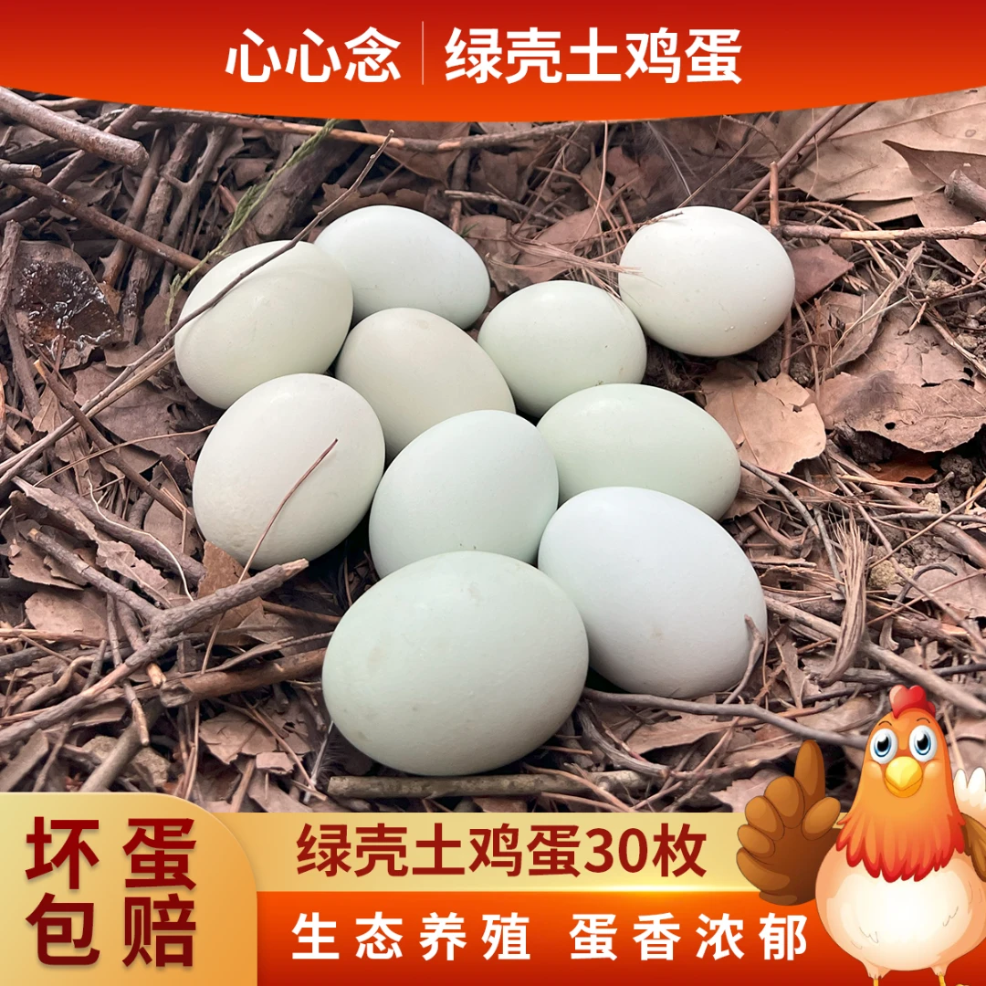 心心念正宗农家散养绿壳蛋现捡现发五谷饲养