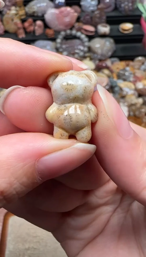 颈饰未镶嵌硅化珊瑚（珊瑚玉）790