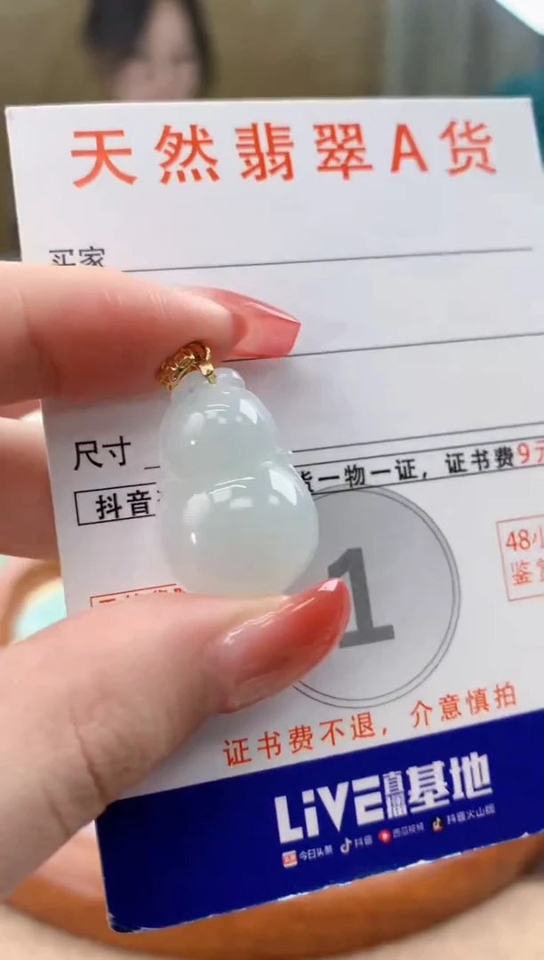 颈饰未镶嵌翡翠天然A货翡翠挂件