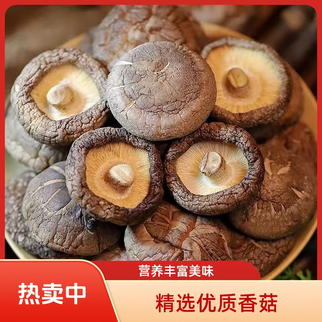 特产干香菇肉厚无根可炖煮煲汤的农家美食