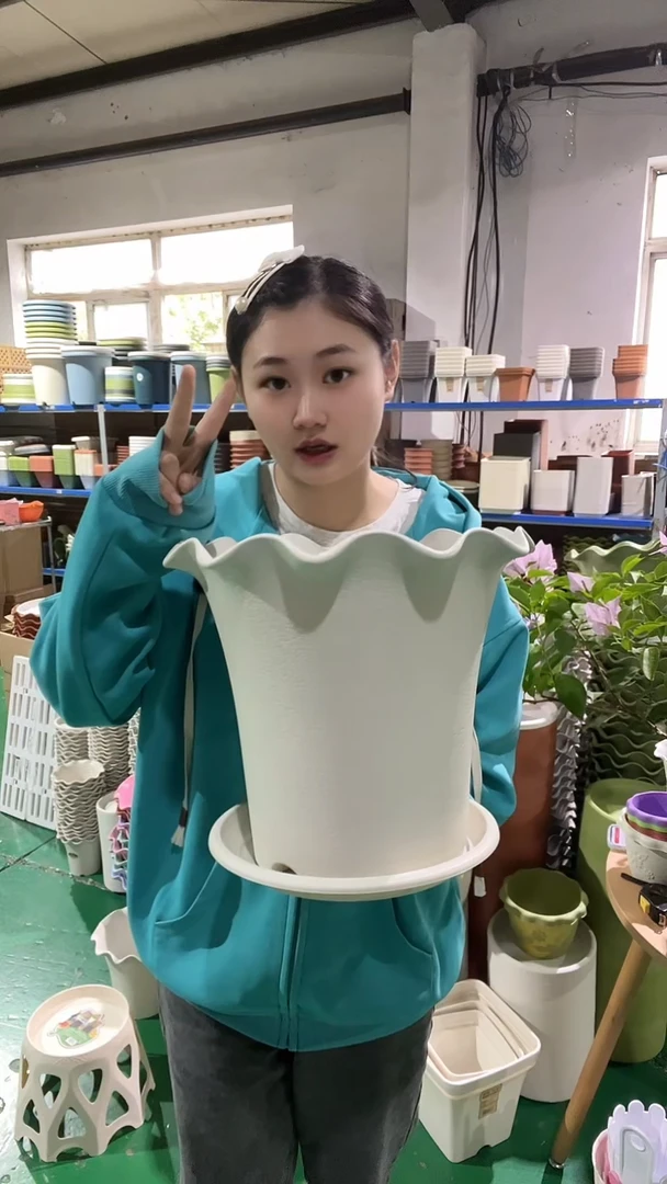 3套米白色荷叶边5005，带托盘