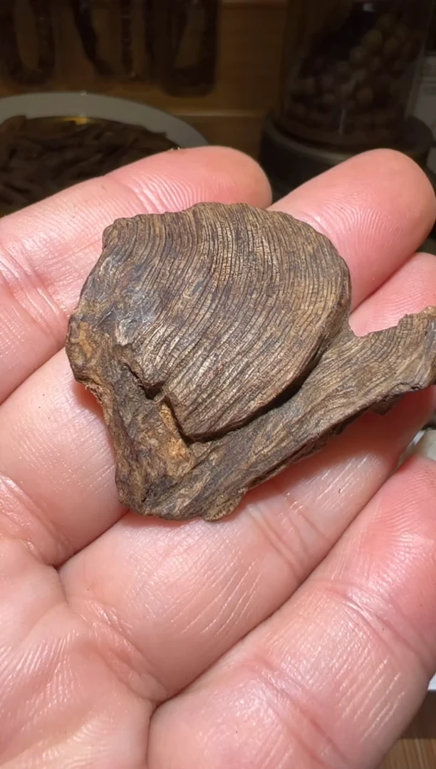 沉香沉香碎屑马泥涝3克