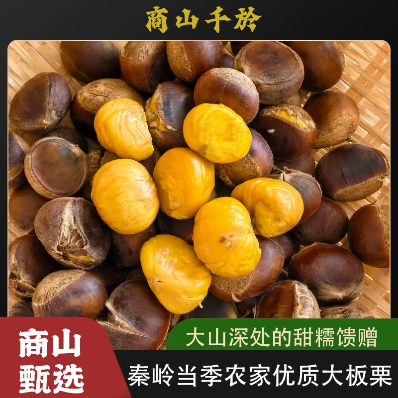 【新鲜现摘】秦岭大板栗油板栗清脆甘甜鲜香生栗子难剥皮