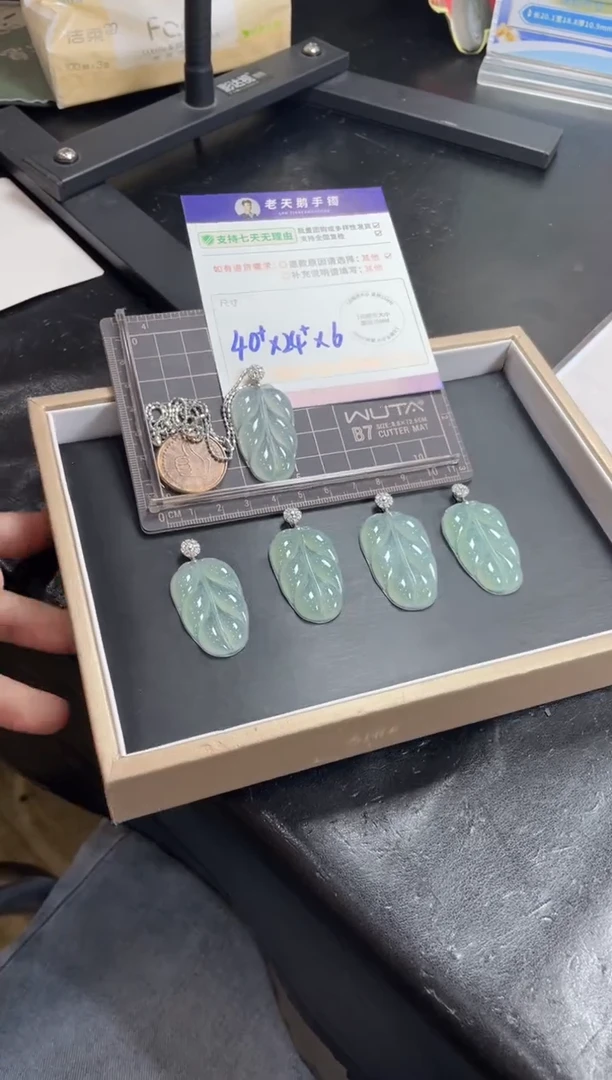 18K金镶嵌挂件翡翠叶子F13配链/多样性发其一ZBCP
