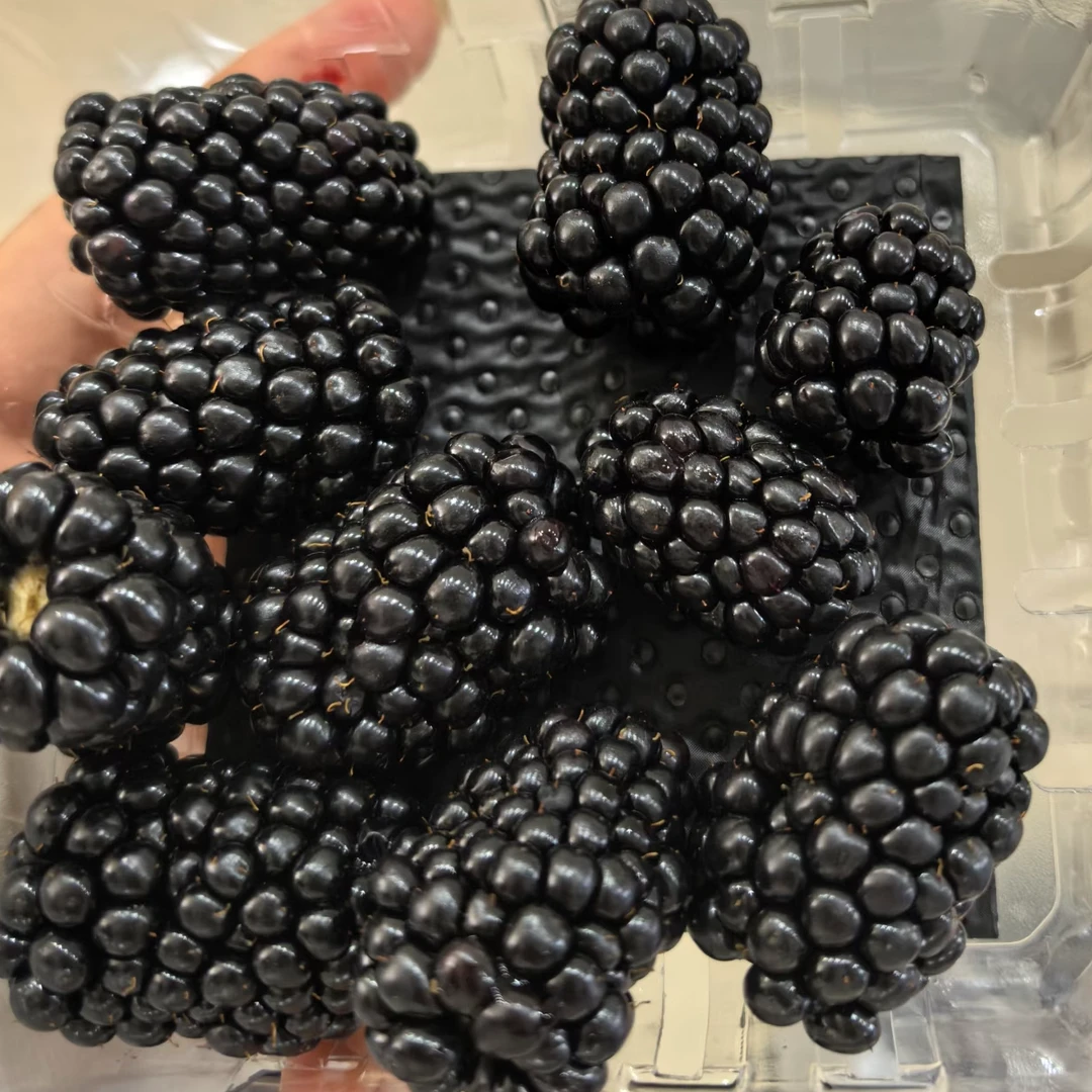 【四盒】[N]好吃的黑莓 盒/125g/共计1斤 仅限太原晋中吕梁忻州可拍