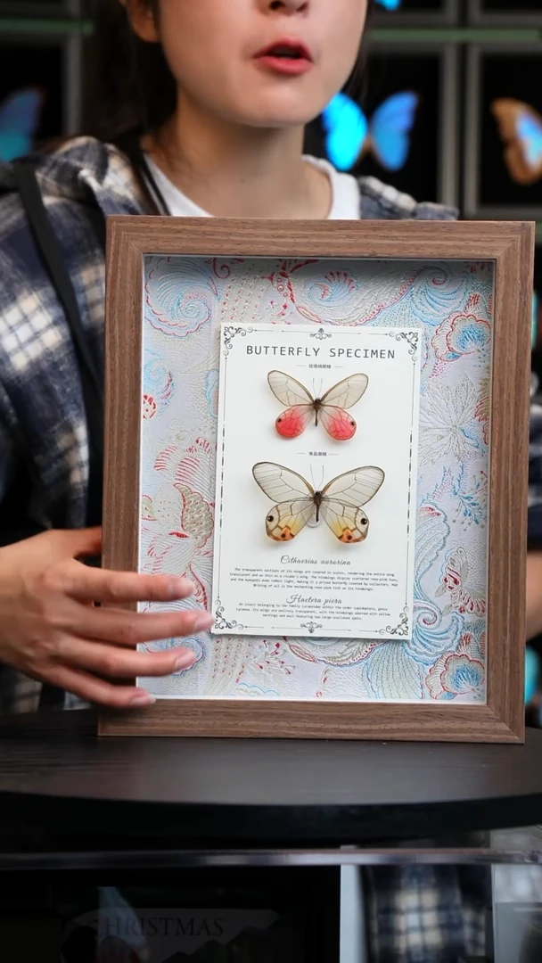 玫瑰绡眼蝶+黄晶眼蝶布艺款