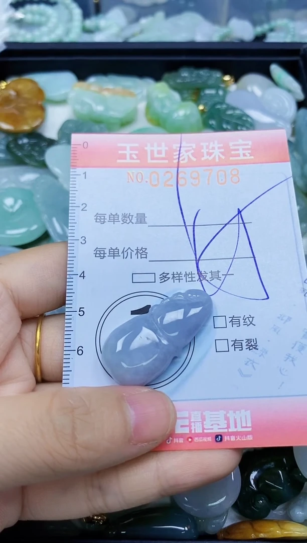 翡翠未镶嵌颈饰闪购0269708