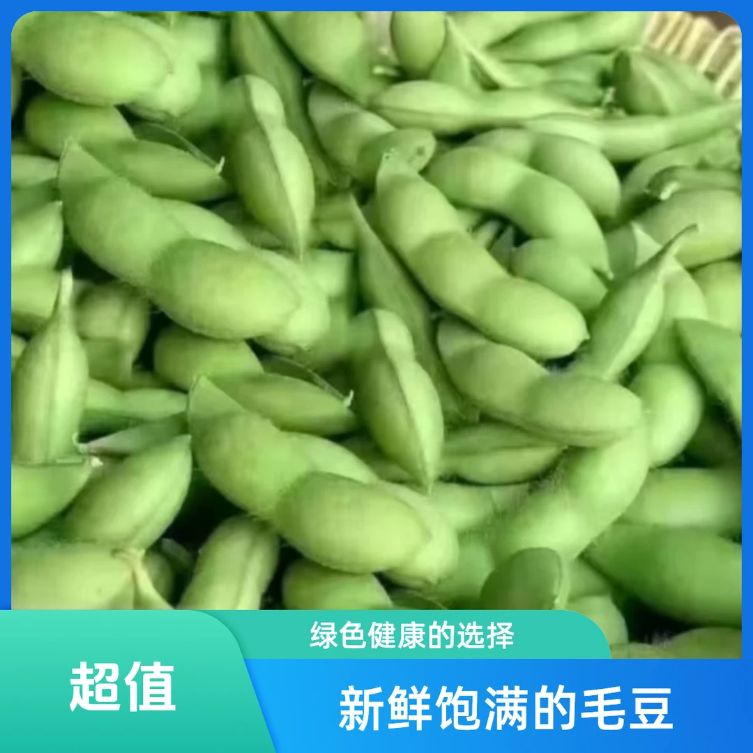 新鲜带壳毛豆采摘到家啦! 农家蔬菜毛豆新鲜当季青豆现摘发货