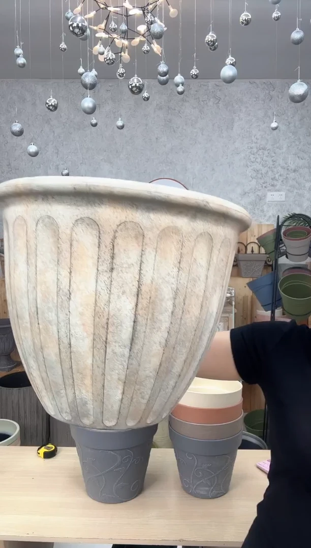 14寸瓦尔纳画眉白色3只开孔