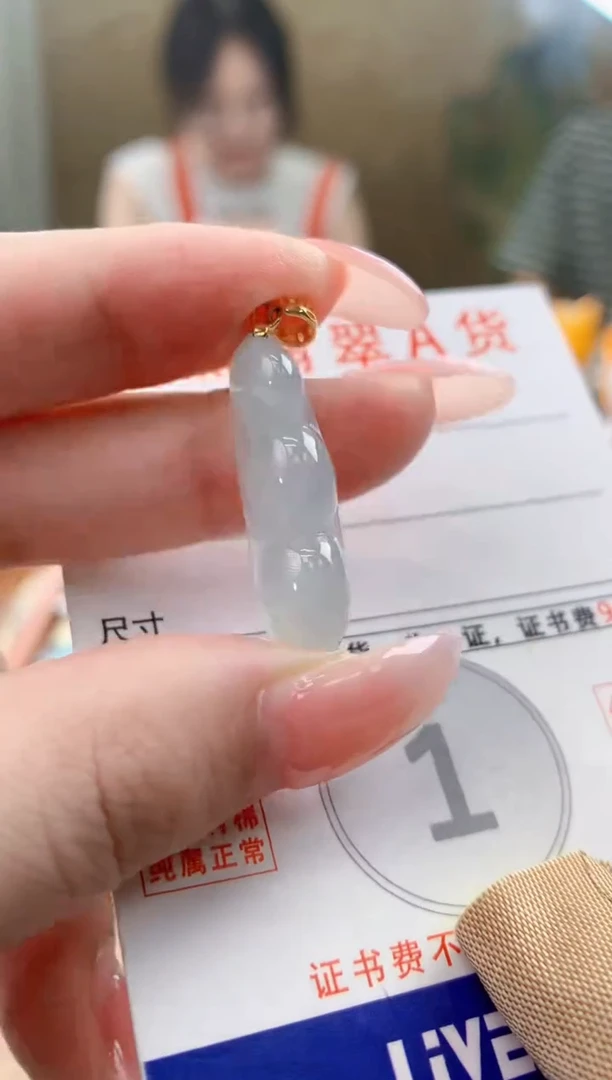 颈饰未镶嵌翡翠天然A货翡翠挂件