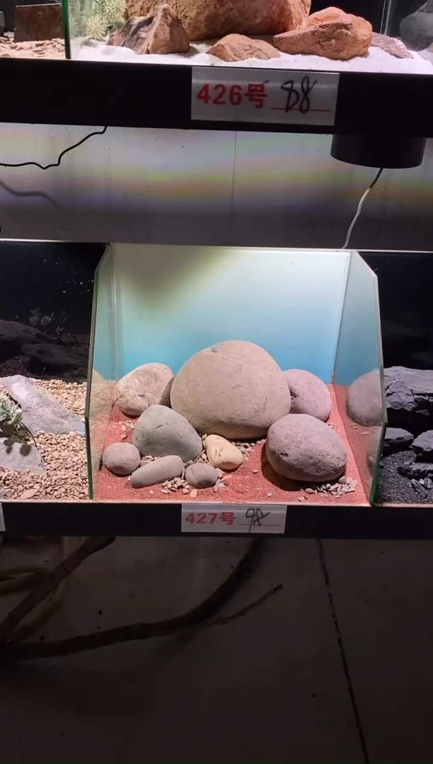 427号鱼缸造景（不含底砂）