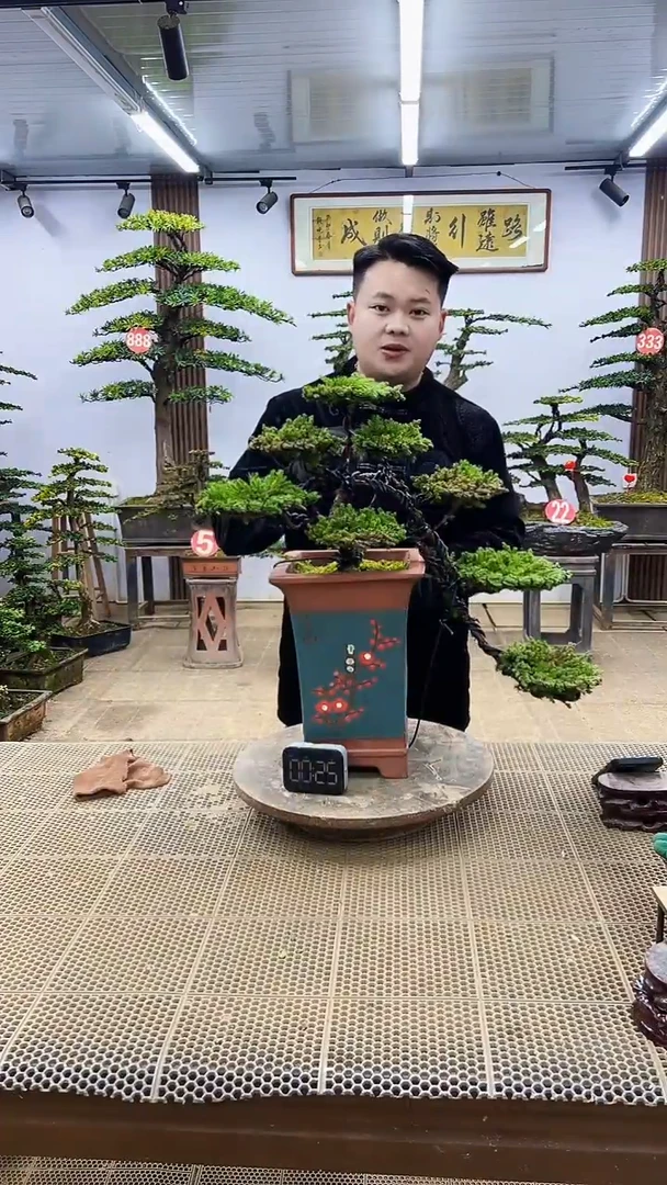 【闪购商品】00000000000000