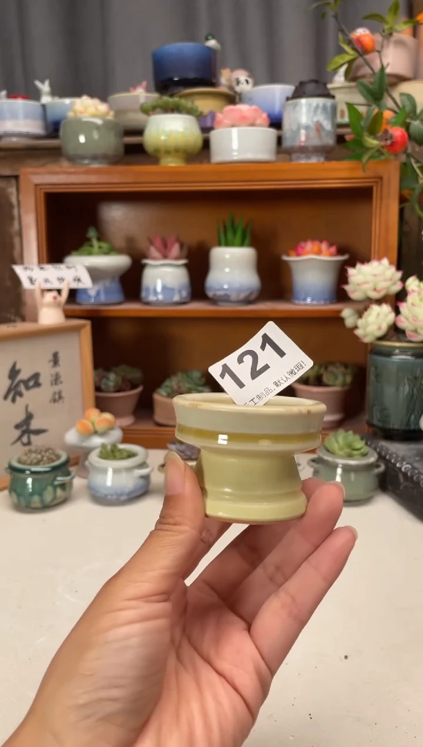瓷片121知木小芳花盆编号